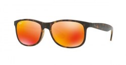 Ray-Ban-RB4202-710-6S8