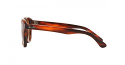 Ray-Ban-RB4203-820-73-d090