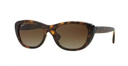 Ray-Ban-RB4227-710-T5